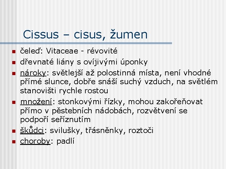 Cissus – cisus, žumen n n n čeleď: Vitaceae - révovité dřevnaté liány s