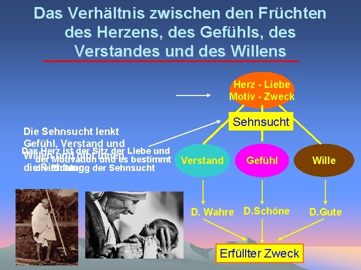 Das Verhältnis zwischen den Früchten des Herzens, des Gefühls, des Verstandes und des Willens