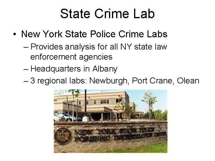 State Crime Lab • New York State Police Crime Labs – Provides analysis for