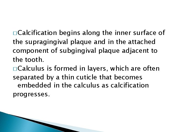� Calcification begins along the inner surface of the supragingival plaque and in the � Calcification begins along the inner surface of the supragingival plaque and in the