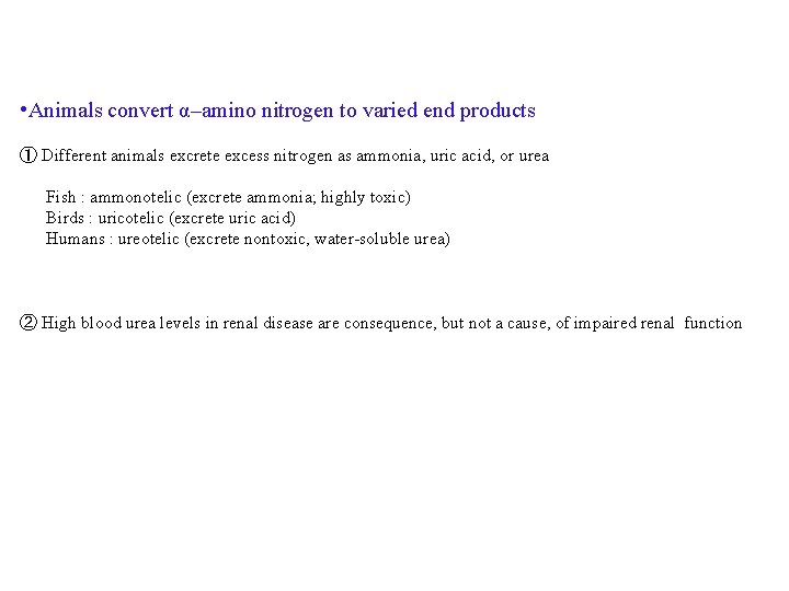  • Animals convert α–amino nitrogen to varied end products ① Different animals excrete