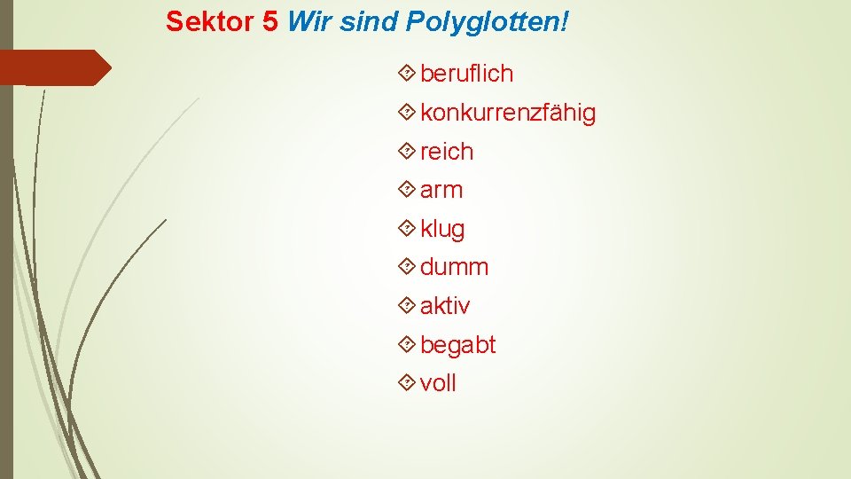 Sektor 5 Wir sind Polyglotten! beruflich konkurrenzfähig reich arm klug dumm aktiv begabt voll