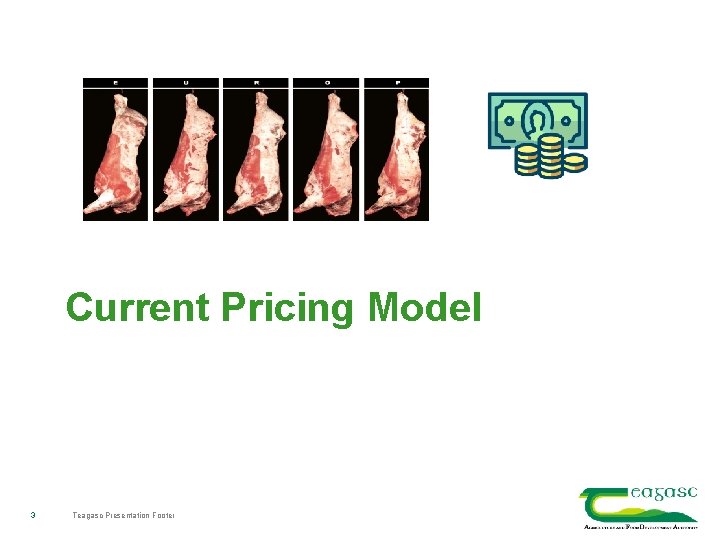 Current Pricing Model 3 Teagasc Presentation Footer 