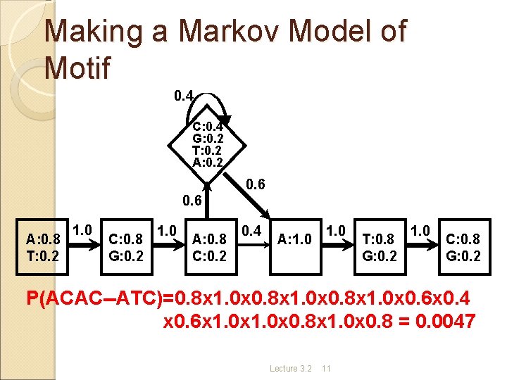 Making a Markov Model of Motif 0. 4 C: 0. 4 G: 0. 2
