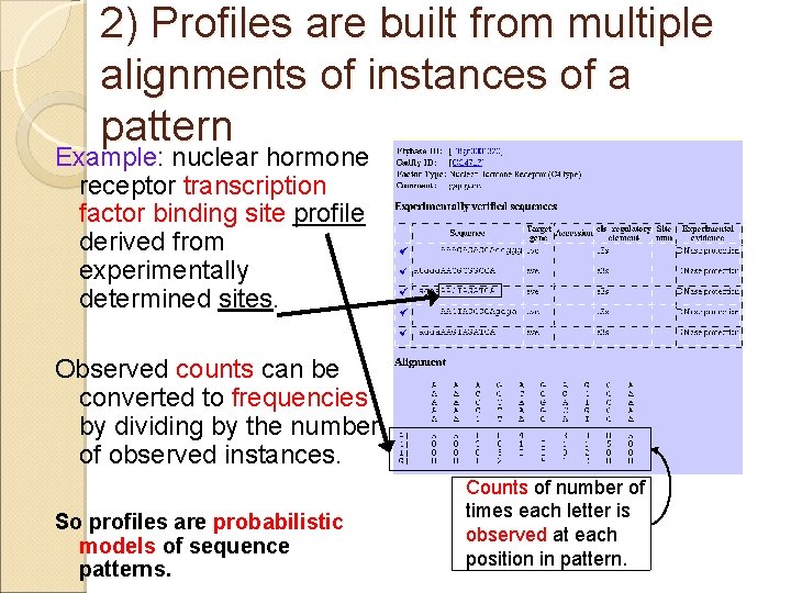 2) Profiles are built from multiple alignments of instances of a pattern Example: nuclear