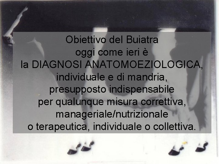 Obiettivo del Buiatra oggi come ieri è la DIAGNOSI ANATOMOEZIOLOGICA, individuale e di mandria,