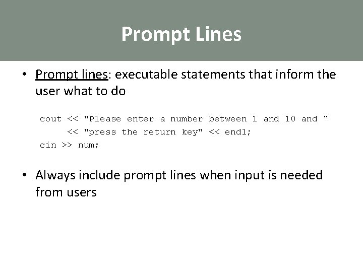Prompt Lines • Prompt lines: executable statements that inform the user what to do