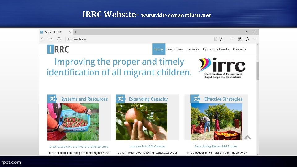 IRRC Website- www. idr-consortium. net IRRC Website- www. idr-consortium. net