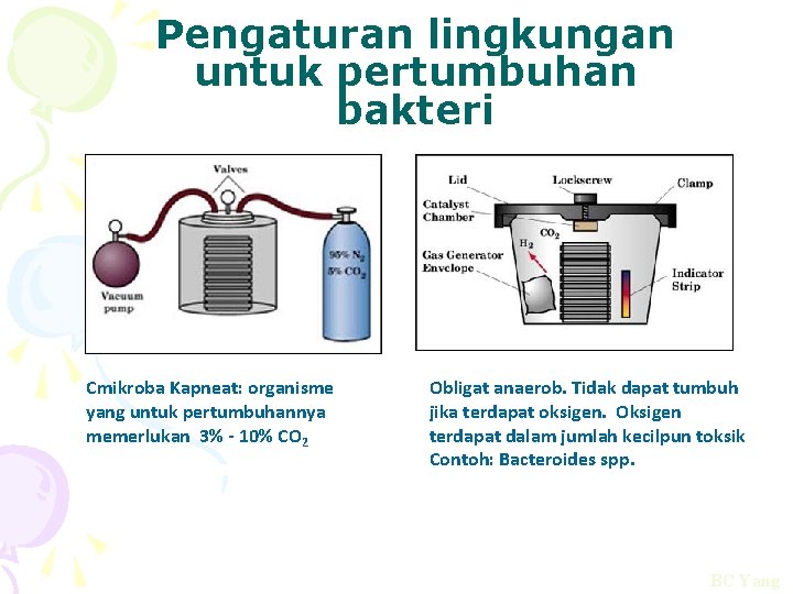 Pengaturan lingkungan untuk pertumbuhan bakteri Cmikroba Kapneat: organisme yang untuk pertumbuhannya memerlukan 3% -
