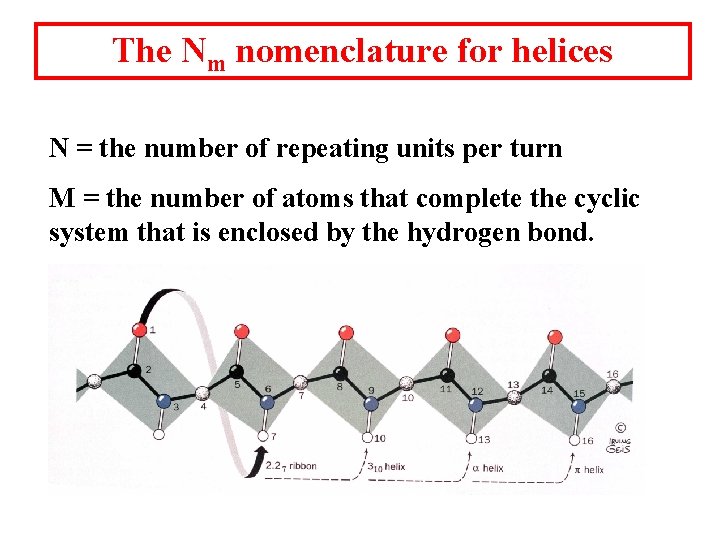 The Nm nomenclature for helices N = the number of repeating units per turn