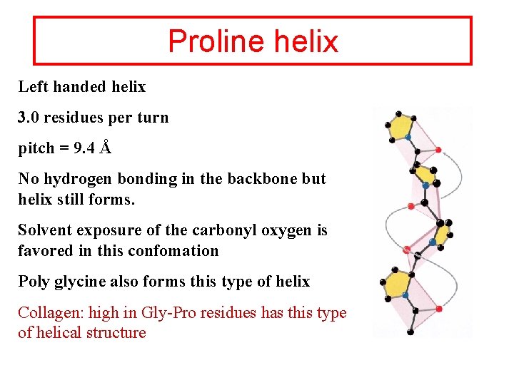 Proline helix Left handed helix 3. 0 residues per turn pitch = 9. 4