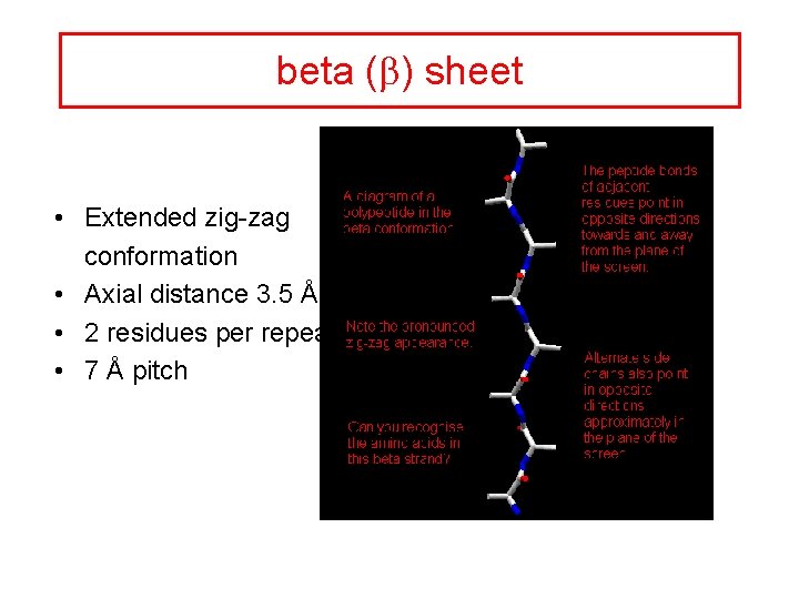 beta (b) sheet • Extended zig-zag conformation • Axial distance 3. 5 Å •