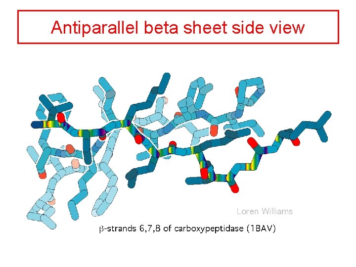 Antiparallel beta sheet side view 
