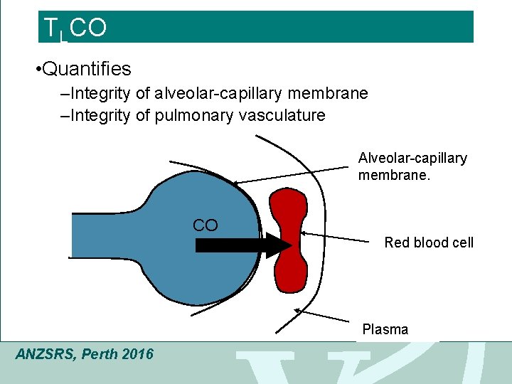 Click T COto edit Master title style L • Quantifies –Integrity of alveolar-capillary membrane