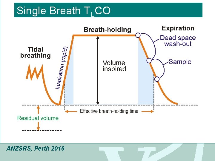 Click to Breath edit Master title style Single T CO L • Click to