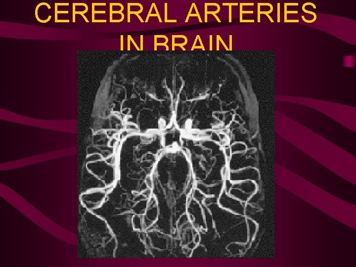 CEREBRAL ARTERIES IN BRAIN 