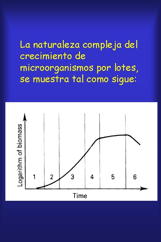 La naturaleza compleja del crecimiento de microorganismos por lotes, se muestra tal como sigue: