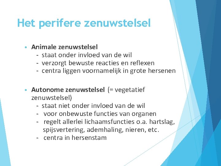 Het perifere zenuwstelsel • Animale zenuwstelsel - staat onder invloed van de wil -