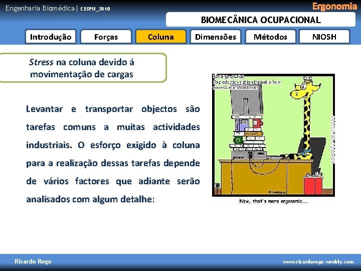 Engenharia Biomédica| Ergonomia CESPU_2010 BIOMEC NICA OCUPACIONAL Introdução Forças Coluna Dimensões Métodos NIOSH Stress