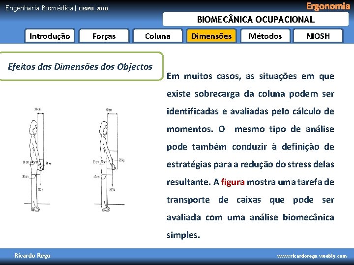 Engenharia Biomédica| Ergonomia CESPU_2010 BIOMEC NICA OCUPACIONAL Introdução Forças Coluna Efeitos das Dimensões dos