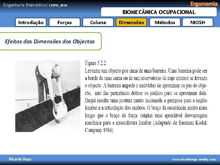 Engenharia Biomédica| Ergonomia CESPU_2010 BIOMEC NICA OCUPACIONAL Introdução Forças Coluna Dimensões Métodos NIOSH Efeitos