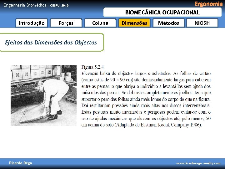 Engenharia Biomédica| Ergonomia CESPU_2010 BIOMEC NICA OCUPACIONAL Introdução Forças Coluna Dimensões Métodos NIOSH Efeitos
