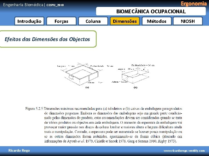 Engenharia Biomédica| Ergonomia CESPU_2010 BIOMEC NICA OCUPACIONAL Introdução Forças Coluna Dimensões Métodos NIOSH Efeitos