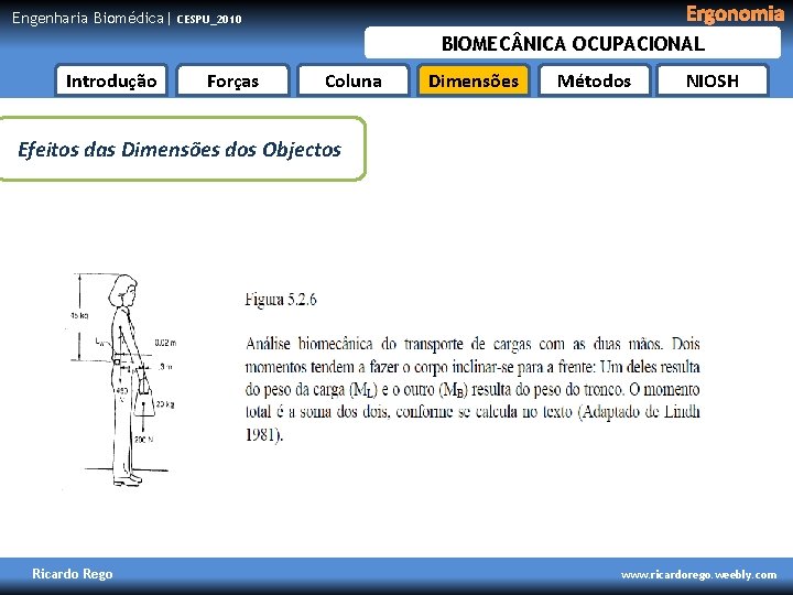 Engenharia Biomédica| Ergonomia CESPU_2010 BIOMEC NICA OCUPACIONAL Introdução Forças Coluna Dimensões Métodos NIOSH Efeitos