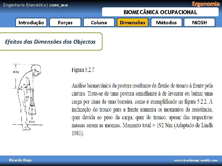 Engenharia Biomédica| Ergonomia CESPU_2010 BIOMEC NICA OCUPACIONAL Introdução Forças Coluna Dimensões Métodos NIOSH Efeitos