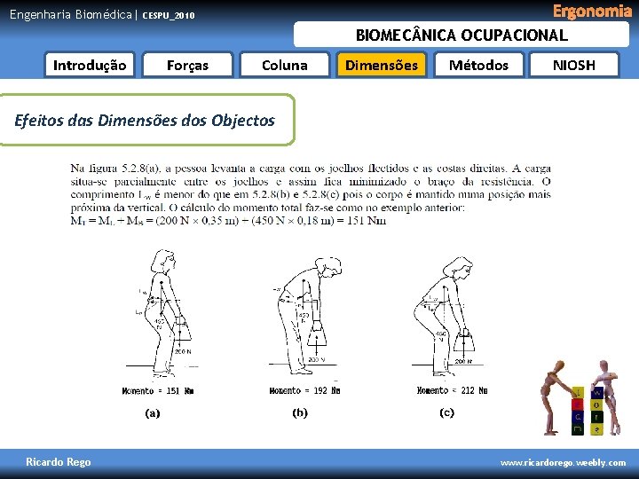 Engenharia Biomédica| Ergonomia CESPU_2010 BIOMEC NICA OCUPACIONAL Introdução Forças Coluna Dimensões Métodos NIOSH Efeitos