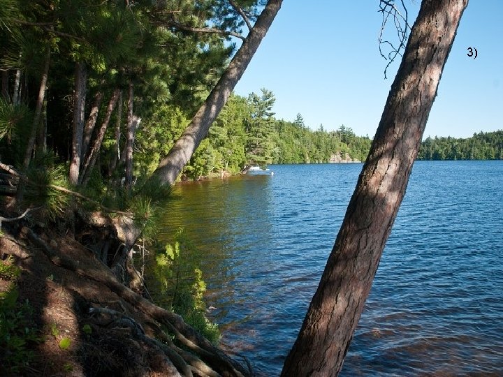 Gymnázium a Jazyková škola s právem státní jazykové zkoušky Svitavy 3) 