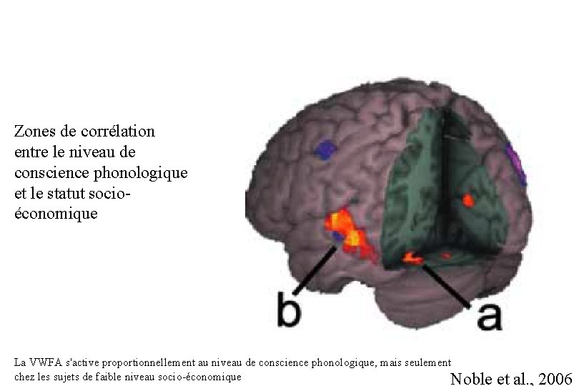 Zones de corrélation entre le niveau de conscience phonologique et le statut socioéconomique La