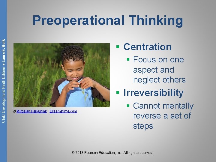 Child Development Ninth Edition ● Laura E. Berk Preoperational Thinking § Centration § Focus