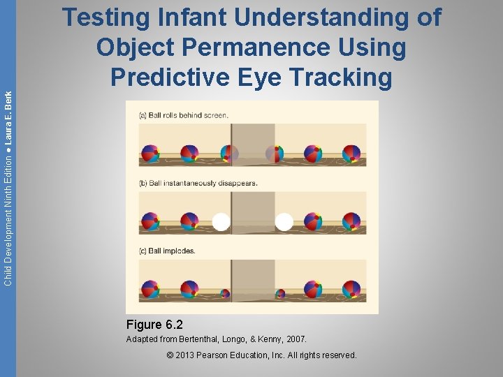 Child Development Ninth Edition ● Laura E. Berk Testing Infant Understanding of Object Permanence