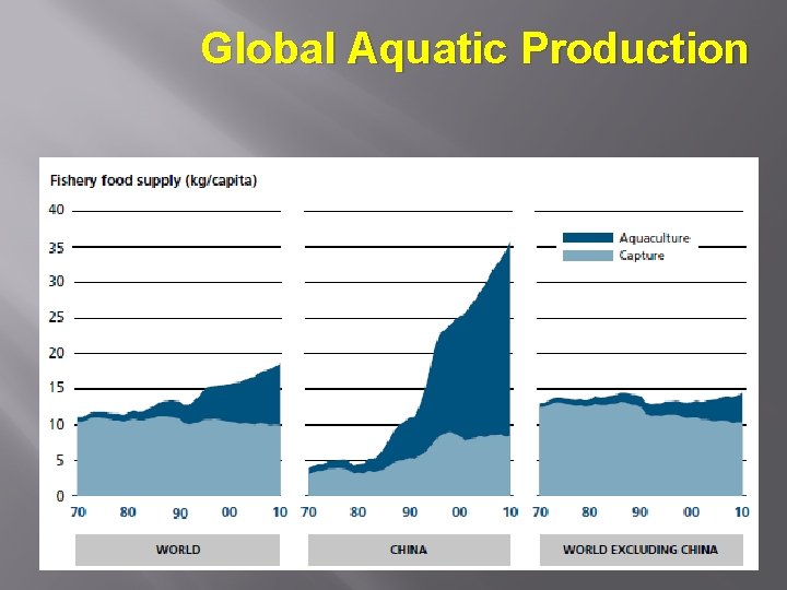 Global Aquatic Production 
