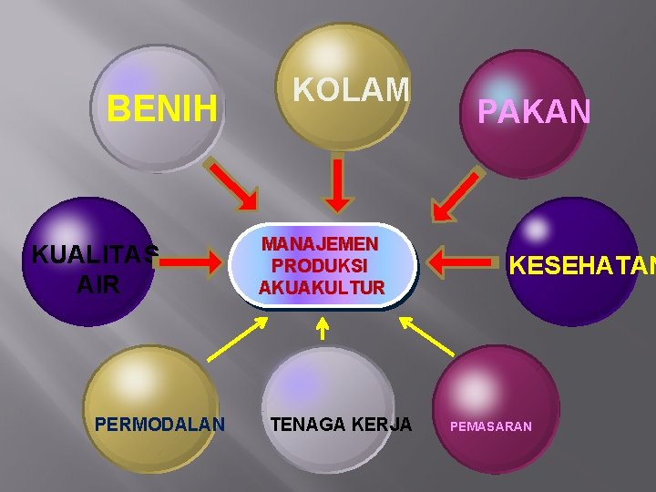 BENIH KUALITAS AIR PERMODALAN KOLAM MANAJEMEN PRODUKSI AKUAKULTUR TENAGA KERJA PAKAN KESEHATAN PEMASARAN 