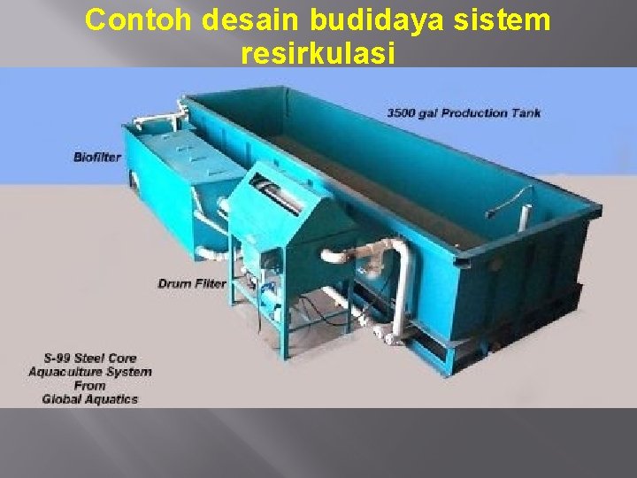 Contoh desain budidaya sistem resirkulasi 