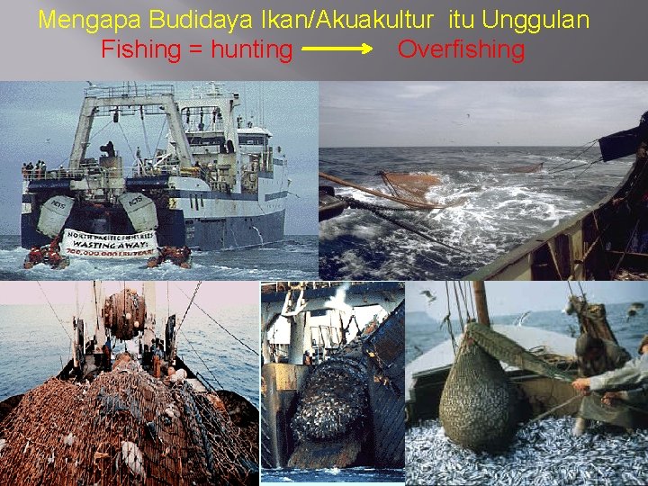 Mengapa Budidaya Ikan/Akuakultur itu Unggulan Fishing = hunting Overfishing 