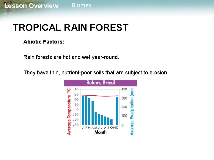 Lesson Overview Biomes TROPICAL RAIN FOREST Abiotic Factors: Rain forests are hot and wet