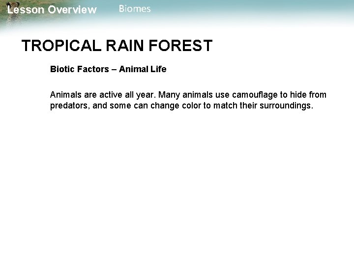 Lesson Overview Biomes TROPICAL RAIN FOREST Biotic Factors – Animal Life Animals are active