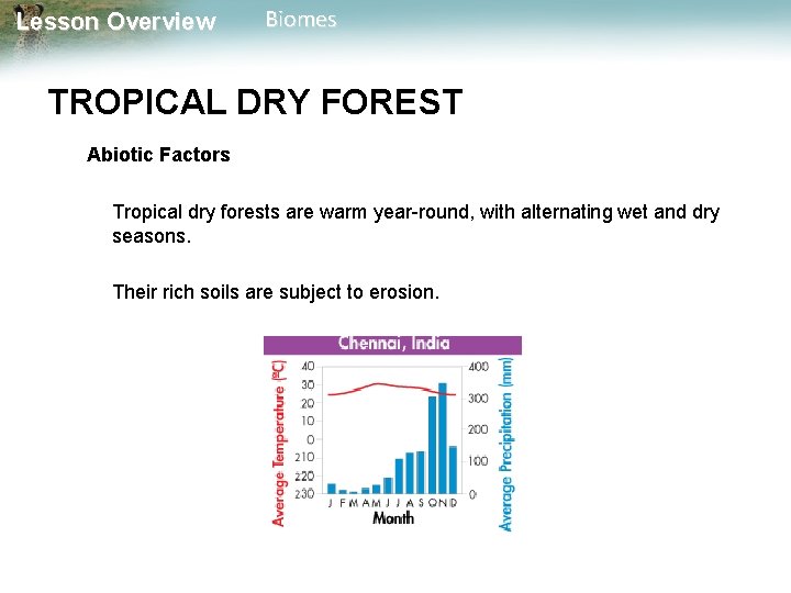 Lesson Overview Biomes TROPICAL DRY FOREST Abiotic Factors Tropical dry forests are warm year-round,