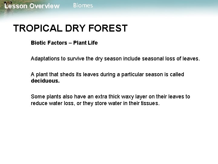 Lesson Overview Biomes TROPICAL DRY FOREST Biotic Factors – Plant Life Adaptations to survive