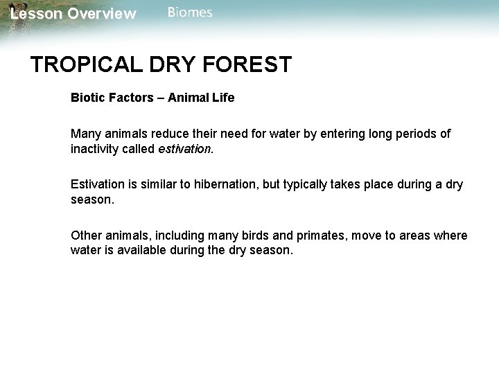 Lesson Overview Biomes TROPICAL DRY FOREST Biotic Factors – Animal Life Many animals reduce