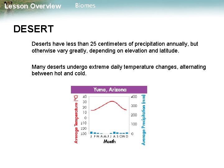 Lesson Overview Biomes DESERT Deserts have less than 25 centimeters of precipitation annually, but