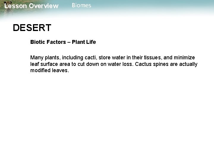 Lesson Overview Biomes DESERT Biotic Factors – Plant Life Many plants, including cacti, store