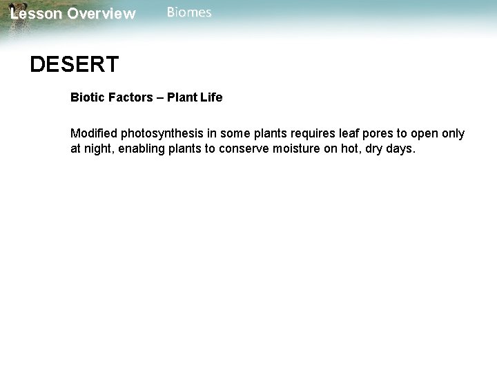 Lesson Overview Biomes DESERT Biotic Factors – Plant Life Modified photosynthesis in some plants