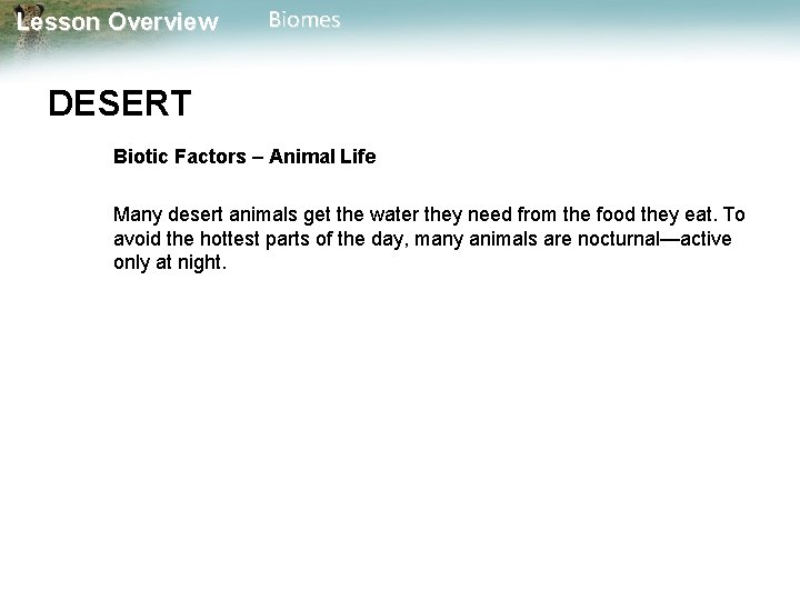 Lesson Overview Biomes DESERT Biotic Factors – Animal Life Many desert animals get the