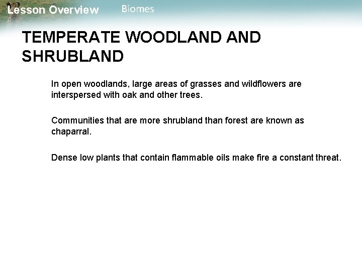 Lesson Overview Biomes TEMPERATE WOODLAND SHRUBLAND In open woodlands, large areas of grasses and