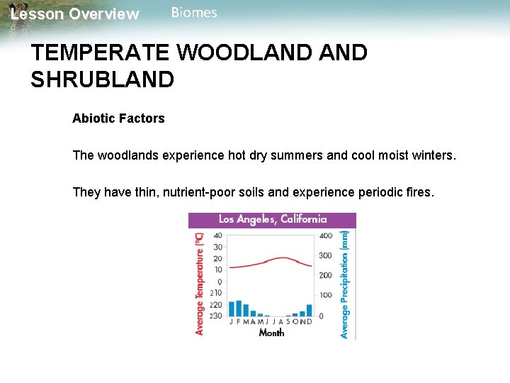 Lesson Overview Biomes TEMPERATE WOODLAND SHRUBLAND Abiotic Factors The woodlands experience hot dry summers