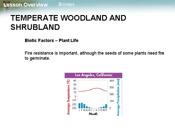 Lesson Overview Biomes TEMPERATE WOODLAND SHRUBLAND Biotic Factors – Plant Life Fire resistance is